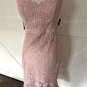 Elegant blush Pink Lace midi Dress